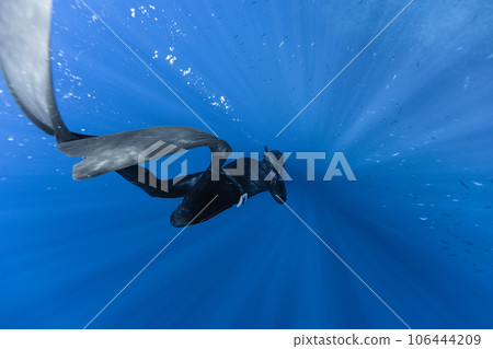 Freediver Swimming in Deep Sea With Sunrays. Freediver Swimming in Deep Sea With Sunrays. 106444209