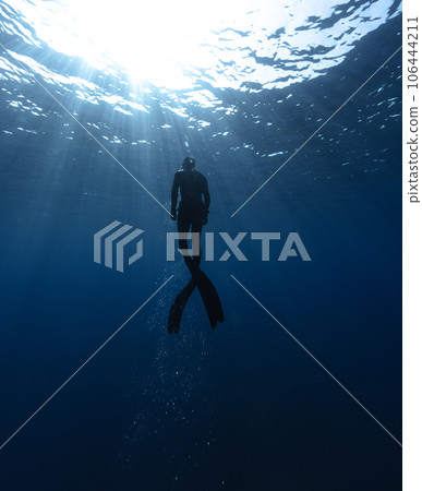Freediver Swimming in Deep Sea With Sunrays. 106444211
