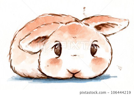 Rabbit Baby Taropyon Rabbit Baby Taropyon 106444219