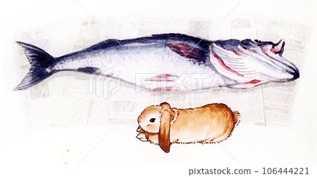 Big catch! Rabbit Taropyon Big catch! Rabbit Taropyon 106444221