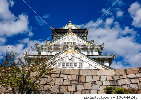 The Osaka Castle Keep, colored by the clear autumn sky and colored leaves (Osaka City, Osaka Prefecture) The Osaka Castle Keep, colored by the clear autumn sky and colored leaves (Osaka City, Osaka Prefecture) 106444243