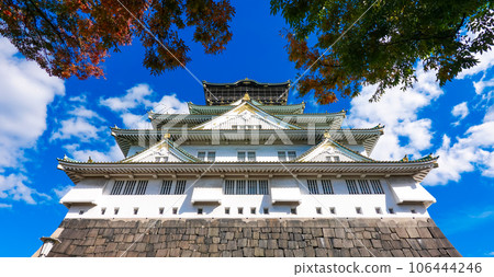 The Osaka Castle Keep, colored by the clear autumn sky and colored leaves (Osaka City, Osaka Prefecture) 106444246