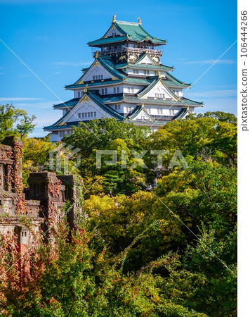 The Osaka Castle Keep, colored by the clear autumn sky and colored leaves (Osaka City, Osaka Prefecture) 106444266