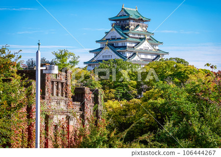 The Osaka Castle Keep, colored by the clear autumn sky and colored leaves (Osaka City, Osaka Prefecture) 106444267