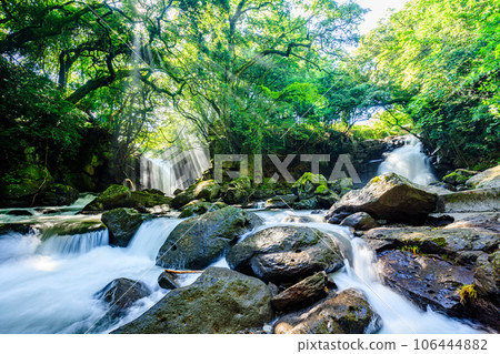 Meotodaki Falls and Rays of Light in Summer, Aso District, Kumamoto Prefecture Meotodaki Falls and Rays of Light in Summer, Aso District, Kumamoto Prefecture 106444882