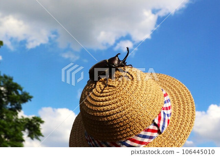Photo of a beetle climbing a straw hat under a blue sky with white clouds Photo of a beetle climbing a straw hat under a blue sky with white clouds 106445010