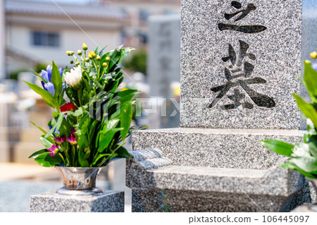 a visit to a grave a visit to a grave 106445097