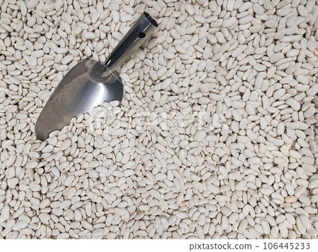 Organic white kidney bean background Organic white kidney bean background 106445233