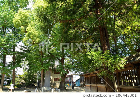 埼玉縣熊谷市供奉結頭神的高木神社 埼玉縣熊谷市供奉結頭神的高木神社 106445301