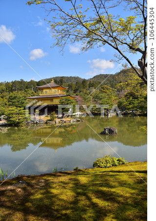 日本春天的京都、世界遺產金閣寺、金色舍利堂、綠意盎然的六園寺花園和鏡子池 日本春天的京都、世界遺產金閣寺、金色舍利堂、綠意盎然的六園寺花園和鏡子池 106445304