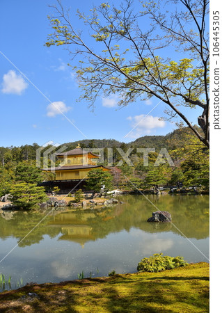 日本春天的京都、世界遺產金閣寺、金色舍利堂、綠意盎然的六園寺花園和鏡子池 日本春天的京都、世界遺產金閣寺、金色舍利堂、綠意盎然的六園寺花園和鏡子池 106445305
