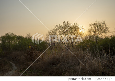 Yeongsan River Bicycle Path Yeongsan River Bicycle Path 106445442