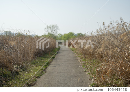 Yeongsan River Bicycle Path 106445458