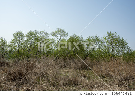 Yeongsan River Bicycle Path 106445481