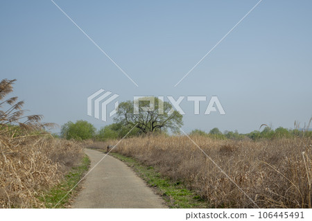 Yeongsan River Bicycle Path 106445491