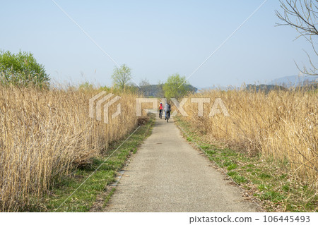 Yeongsan River Bicycle Path 106445493