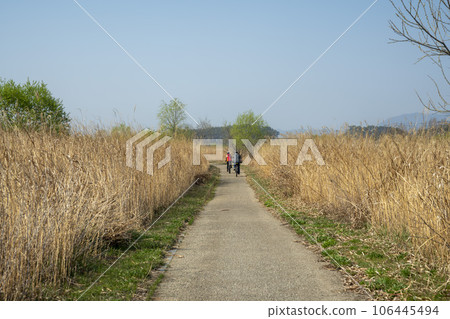 Yeongsan River Bicycle Path 106445494