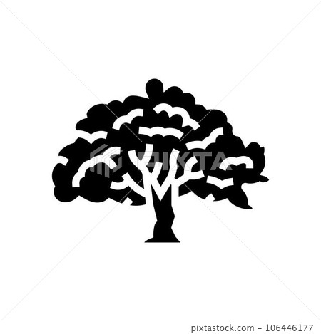 bodhi tree buddhism glyph icon vector illustration 106446177