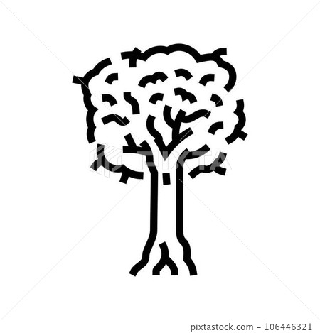 kauri jungle amazon line icon vector illustration 106446321