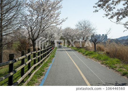Yeongsan River Bicycle Path Yeongsan River Bicycle Path 106446560
