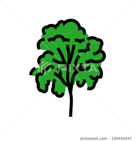 padauk tree jungle amazon color icon vector illustration 106446847