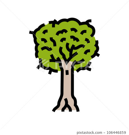 kauri jungle amazon color icon vector illustration 106446859