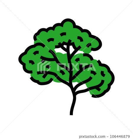balsa jungle amazon color icon vector illustration 106446879