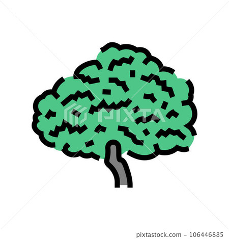 fig tree jungle amazon color icon vector illustration fig tree jungle amazon color icon vector illustration 106446885