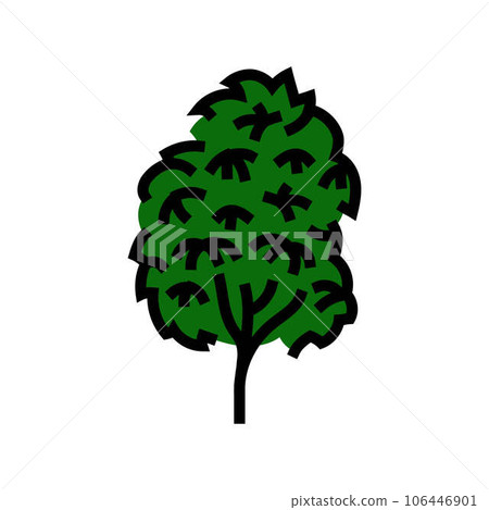 kauri tree jungle amazon color icon vector illustration 106446901