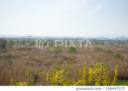 Yeongsan River bicycle path 106447225