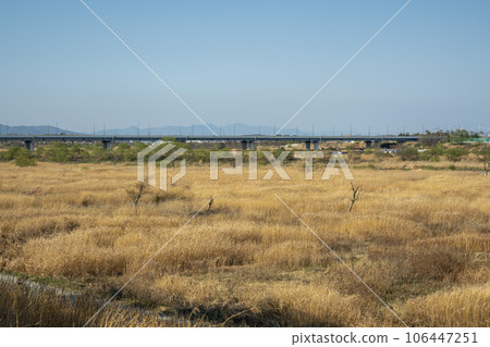 Yeongsan River bicycle path 106447251