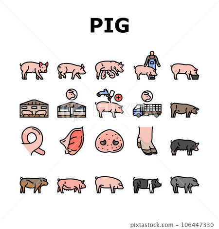 pork pig farm animal piglet hog icons set vector pork pig farm animal piglet hog icons set vector 106447330