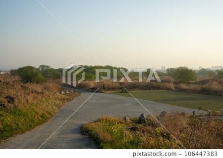 Yeongsan River bicycle path 106447383