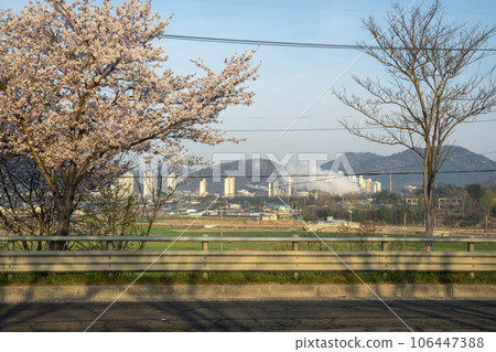 Yeongsan River bicycle path Yeongsan River bicycle path 106447388
