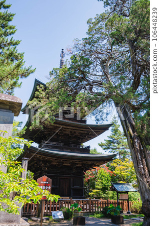 信濃國分寺重要文化遺產三層塔 信濃國分寺重要文化遺產三層塔 106448239