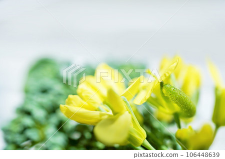 Close-up shot of a cabbage butterfly larva eating a yellow flower against a white background and broccoli buds Close-up shot of a cabbage butterfly larva eating a yellow flower against a white background and broccoli buds 106448639