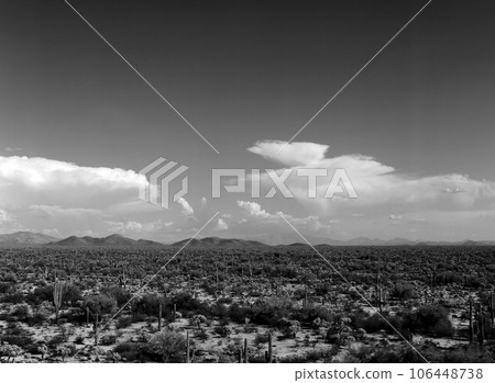 Film Image Sonora Desert Arizona Monochrome 106448738