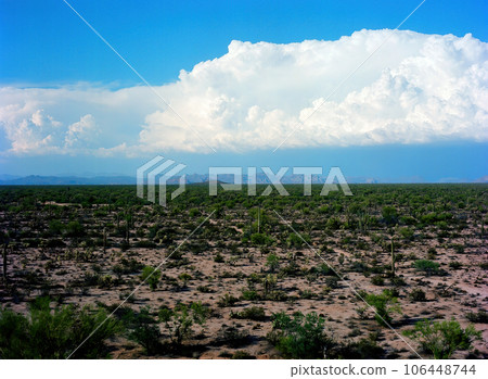 Film Image Sonora Desert Arizona 106448744