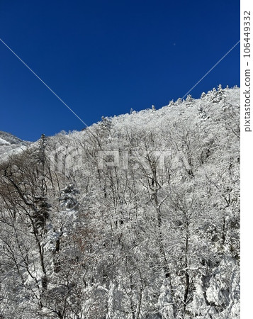winter landscape in mountains 106449332