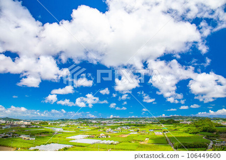 The land of Okinawa with blue sky and clouds 106449600