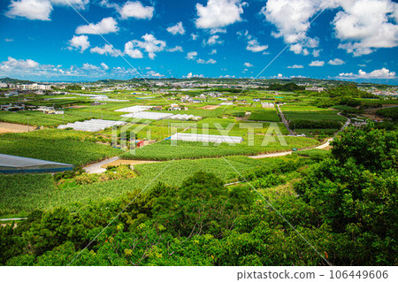 The land of Okinawa with blue sky and clouds The land of Okinawa with blue sky and clouds 106449606