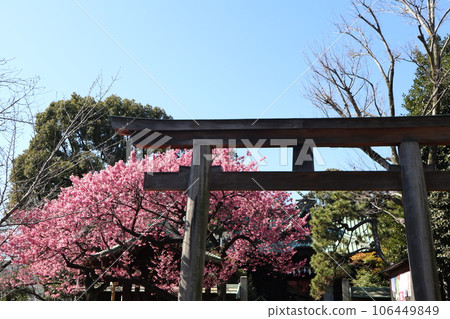 Ebara Shrine Ebara Shrine 106449849