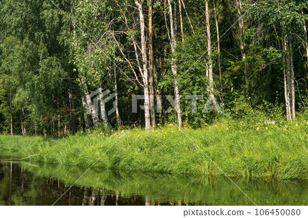 natural landscape, grassy wooded shore of the forest river, view from the water on a sunny day natural landscape, grassy wooded shore of the forest river, view from the water on a sunny day 106450080