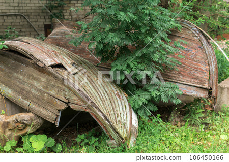 old leaky wooden boats lie on the shore 106450166