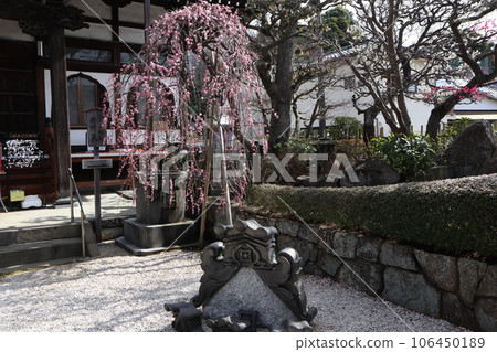 池上權參 106450189