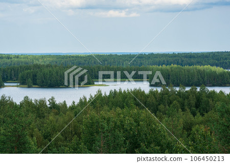 natural landscape with forest and lakes, aerial view natural landscape with forest and lakes, aerial view 106450213