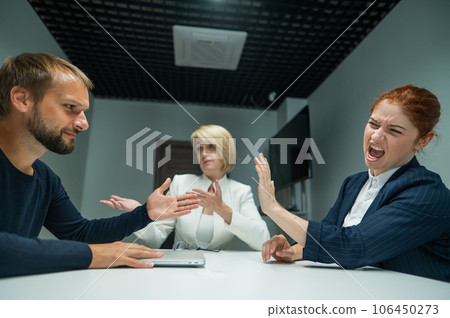 Blond, red-haired woman and bearded man in suits in the office. Business people are swearing during negotiations in the conference room.  106450273