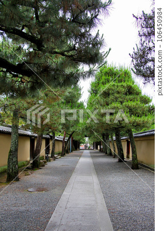 從大德寺院內看大德寺南門 從大德寺院內看大德寺南門 106450984