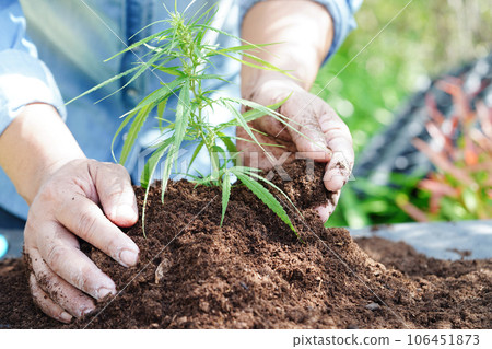 Tree growing with hand, eco earth day, save world, save earth, go green Tree growing with hand, eco earth day, save world, save earth, go green 106451873