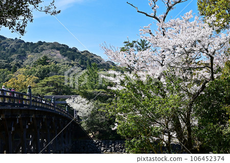 春天的伊勢神宮 櫻花盛開的宇治橋風景 春天的內宮風景 櫻花、鳥居和宇治橋 春天的伊勢神宮 櫻花盛開的宇治橋風景 春天的內宮風景 櫻花、鳥居和宇治橋 106452374